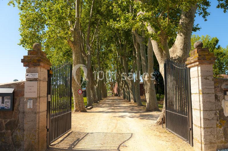 Domaine de la Baratonne - galerie - photo 8