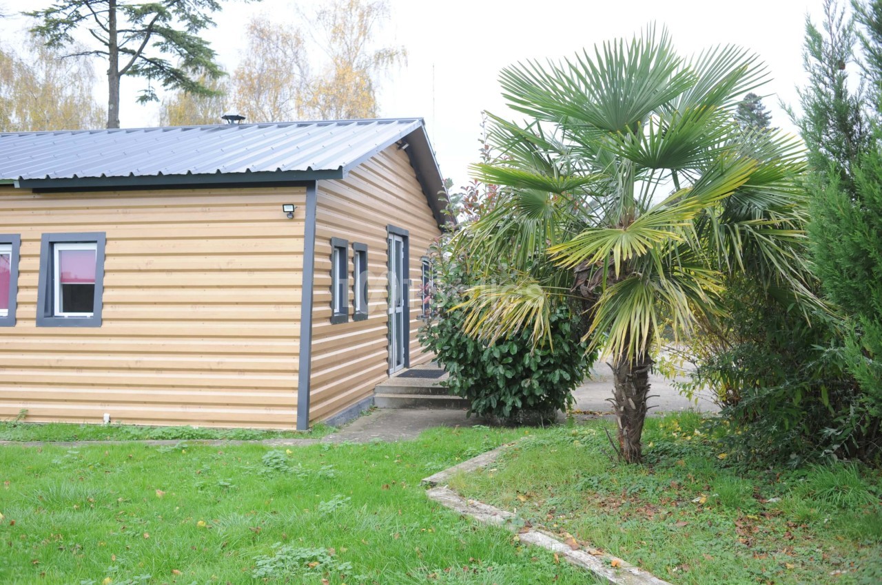 Maison en bois avec bardage clair, entourée de végétation, dont un palmier et des arbustes, sur une pelouse verte.