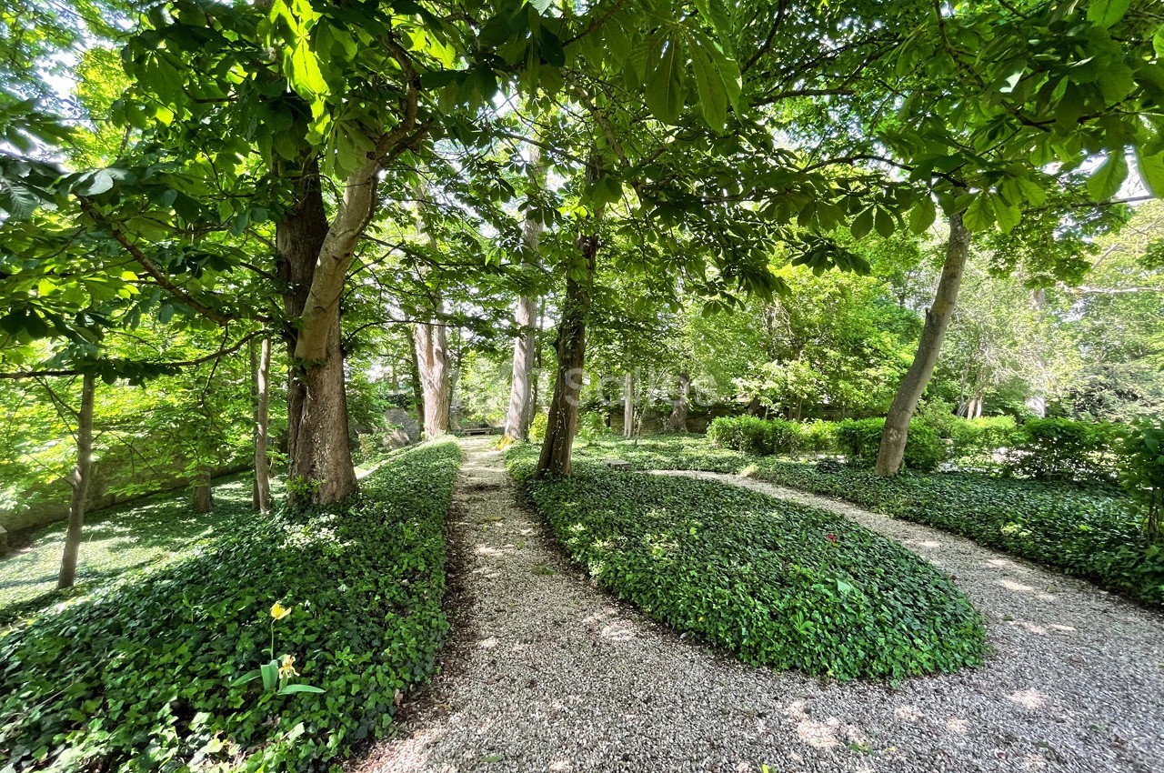 Allée gravillonnée serpentant entre des arbres et des buissons dans un jardin verdoyant.