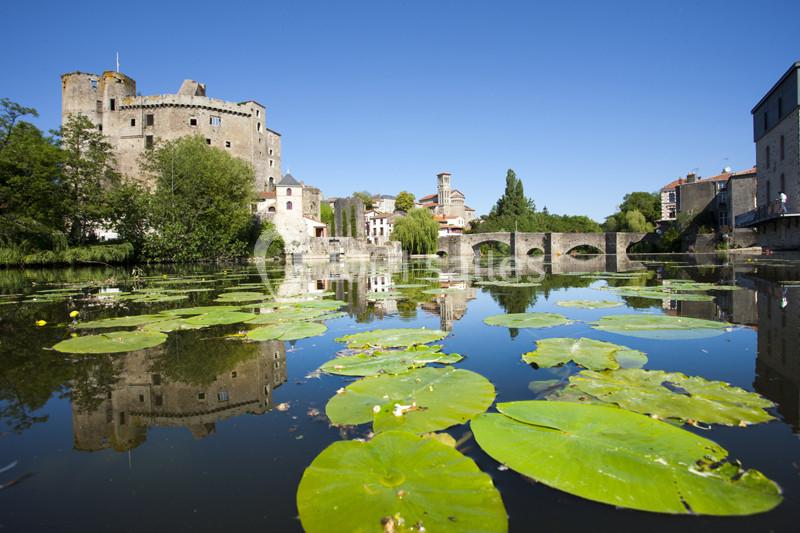 Vue d'un château médiéval, d'un pont en pierre et de nénuphars sur une rivière sous un ciel bleu.