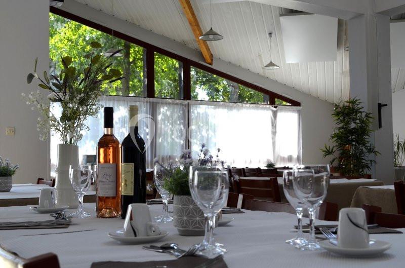 Salle de restaurant lumineuse avec tables dressées, bouteilles de vin, verres et décoration végétale.
