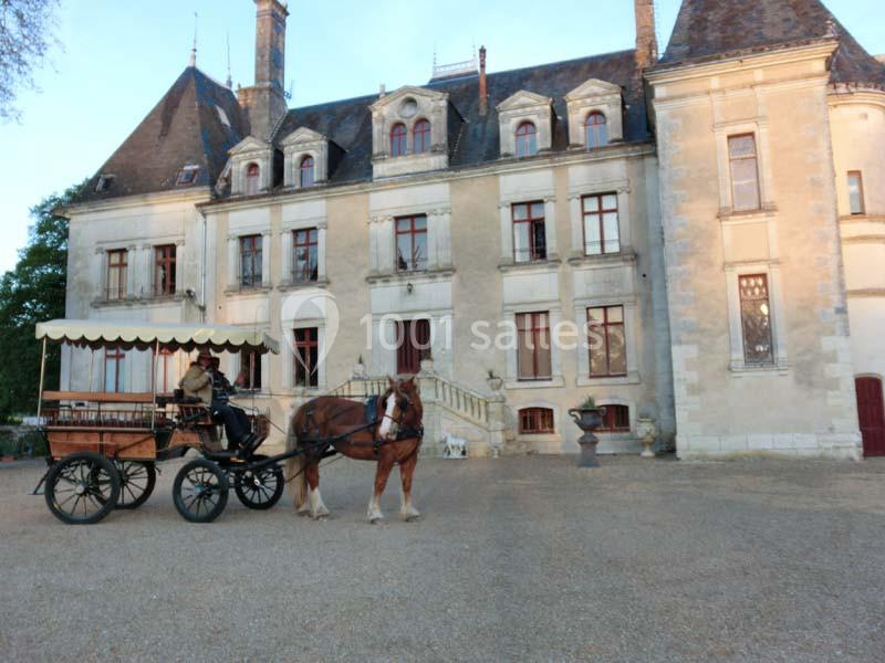 Château de la Mezière - galerie - photo 10