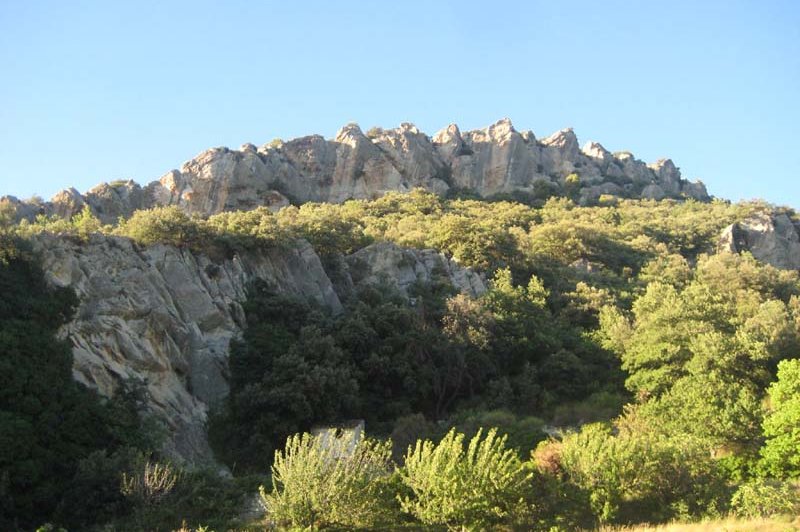 Domaine Des Tilleuls - photo 1