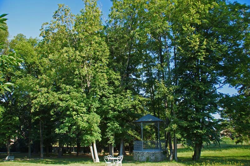 Domaine Des Tilleuls - photo 3