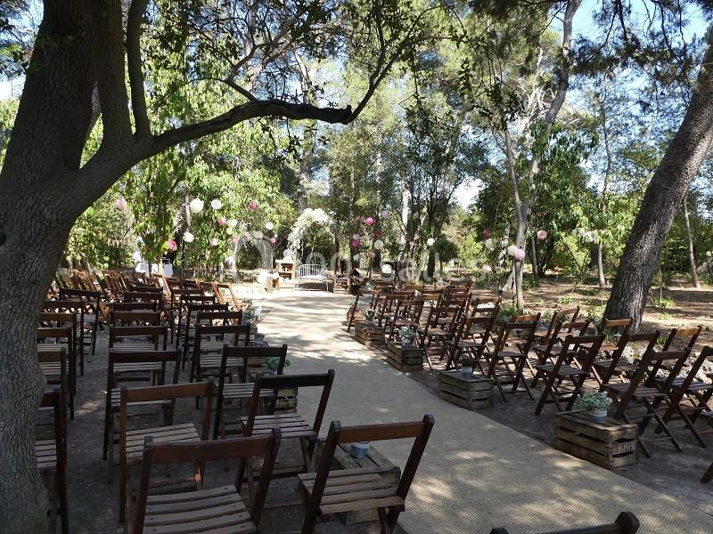 Chaises en bois disposées en extérieur sous des arbres, formant une allée centrale menant à un espace décoré pour une…