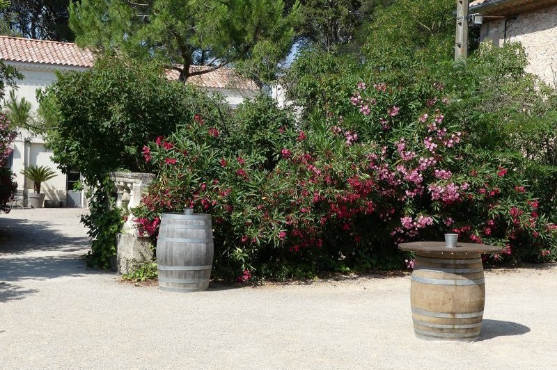 Domaine de la Grangette - photo 4