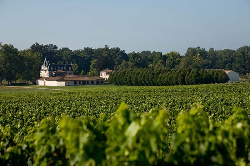 Château Olivier - photo 3