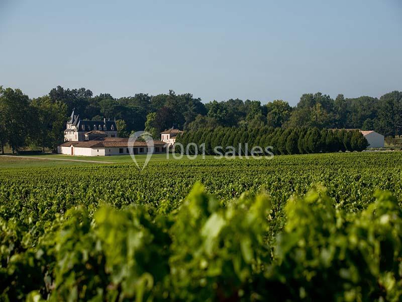 Château Olivier - galerie - photo 3