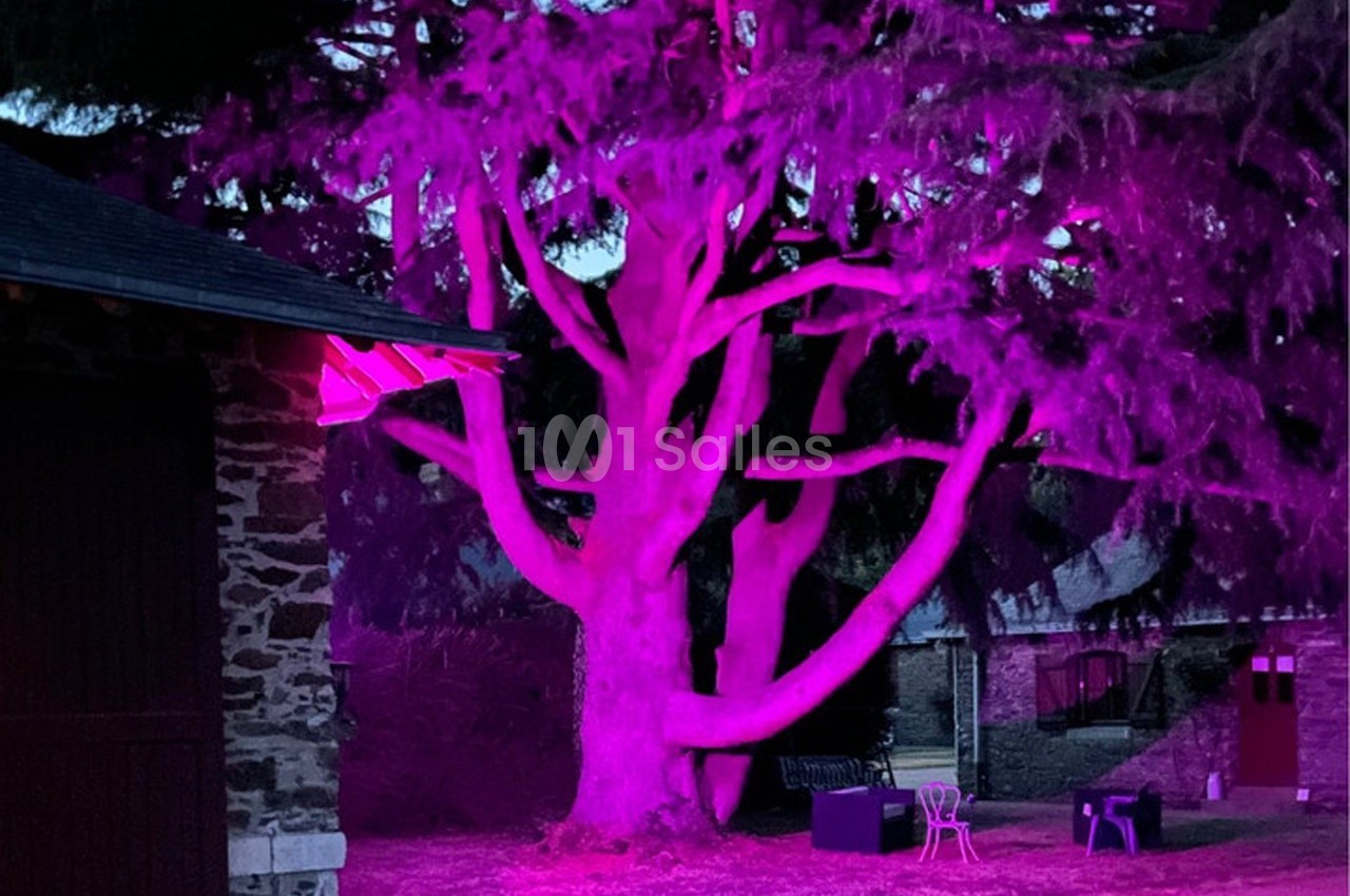Domaine de la Jousselinière - galerie - photo 20