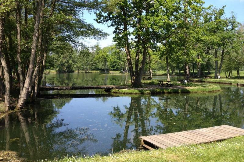 Les Etangs De La Palombière - photo 1