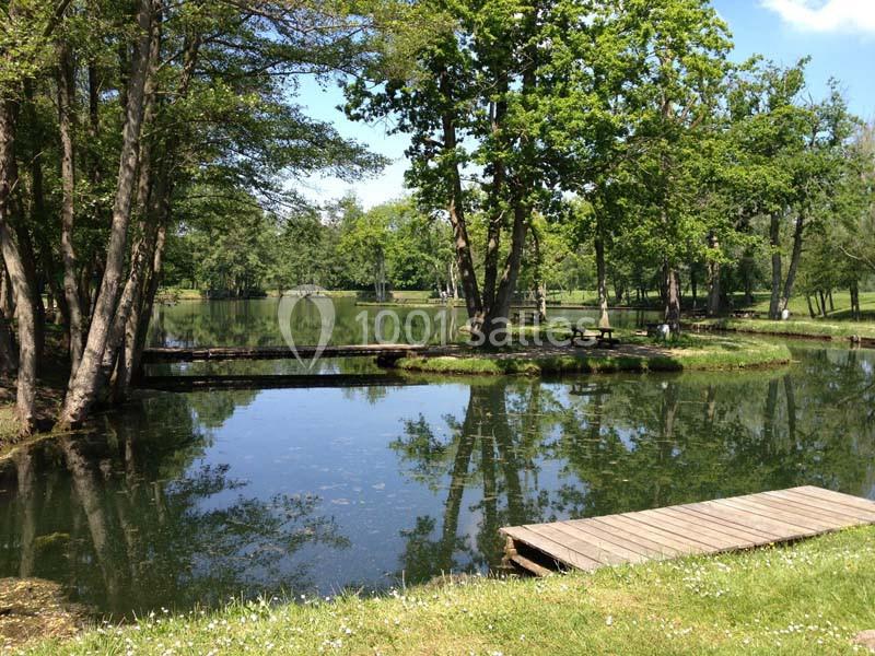 Les Etangs De La Palombière - galerie - photo 1
