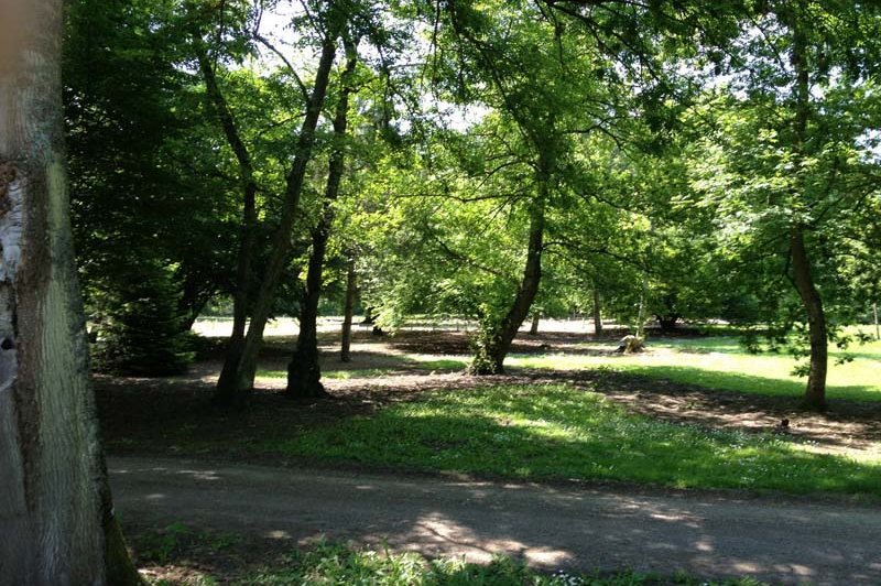 Les Etangs De La Palombière - photo 2