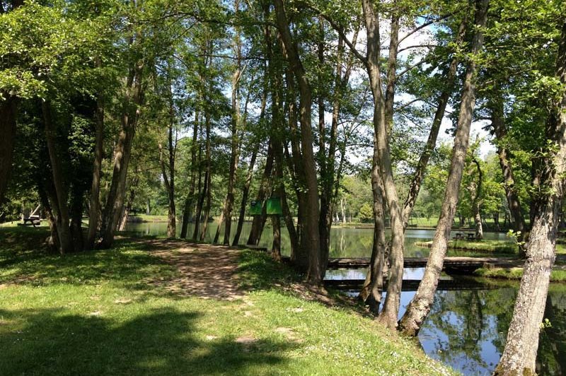 Les Etangs De La Palombière - photo 4