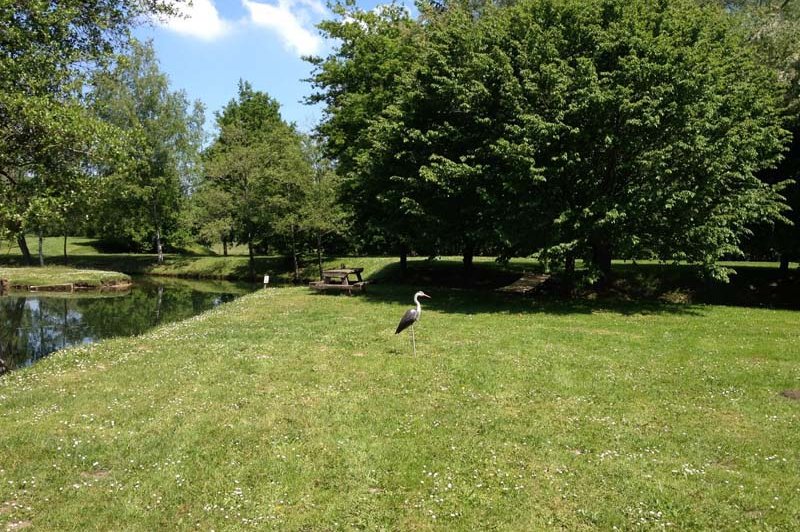 Les Etangs De La Palombière - photo 5