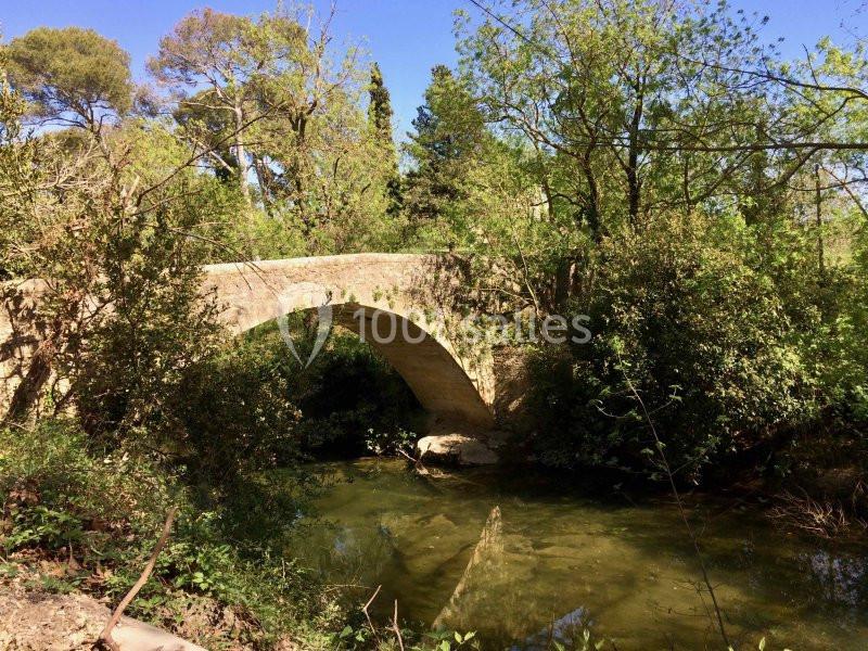 Pont en pierre ancienne traversant un ruisseau entouré de végétation dense et d'arbres sous un ciel dégagé.