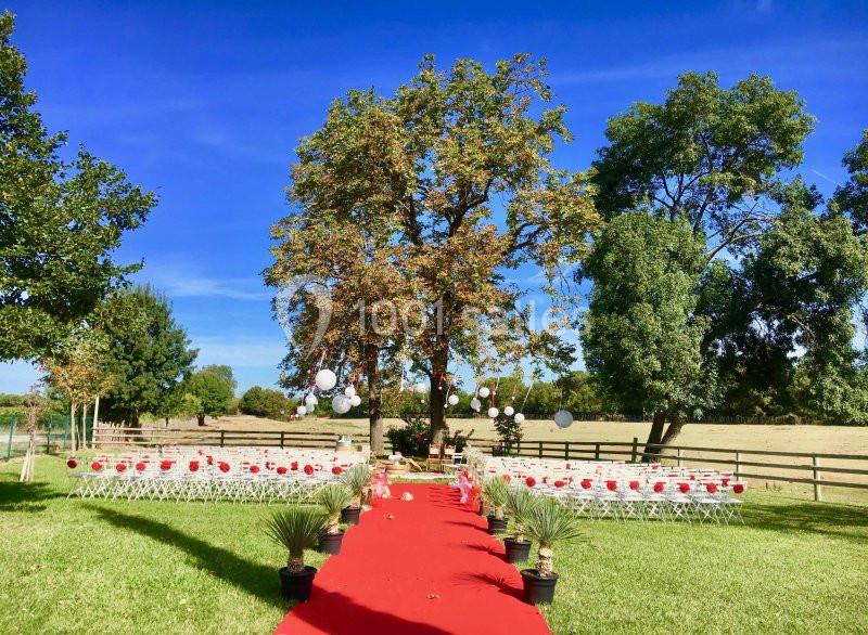 Allée rouge menant à des chaises blanches disposées en extérieur sous un grand arbre décoré de lanternes.