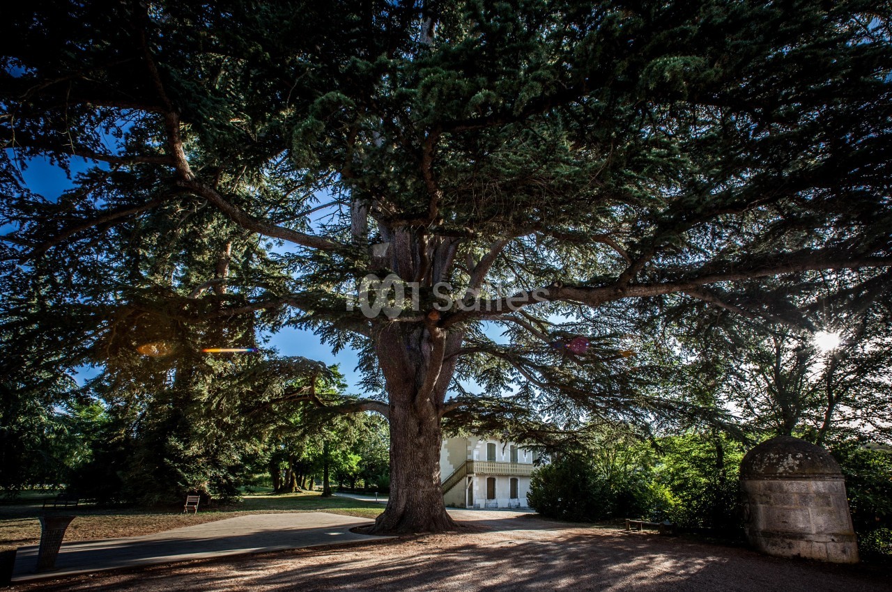 Château De La Pouyade - galerie - photo 10