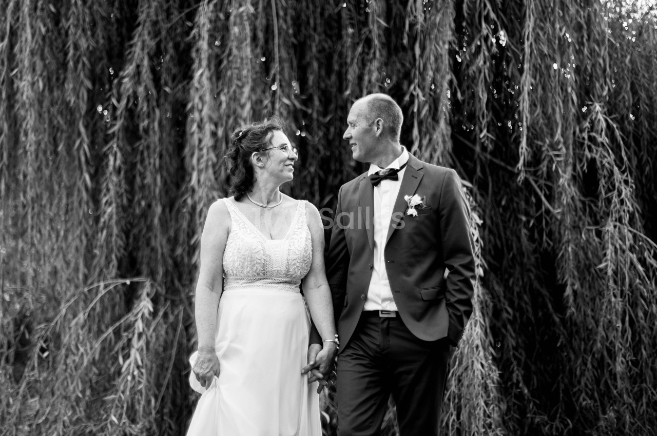 Le Moulin de Trancart - galerie - photo 10