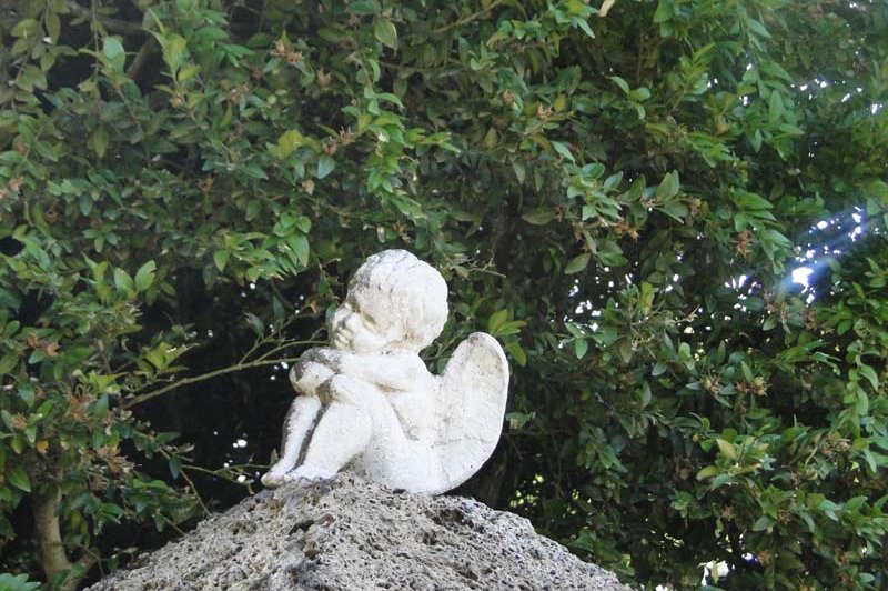 Château des Anges - photo 4