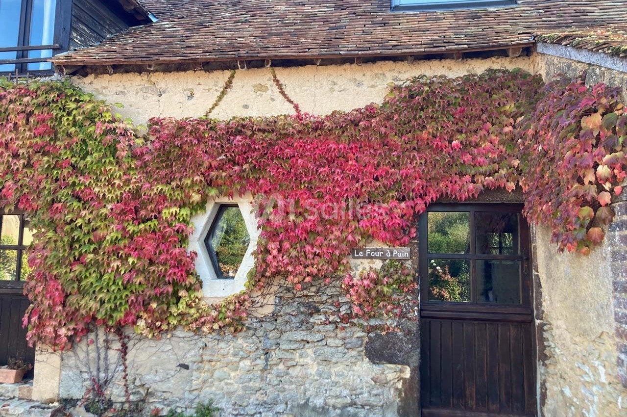 Façade en pierre d'une maison ancienne recouverte de vigne rouge, avec fenêtres et porte en bois.
