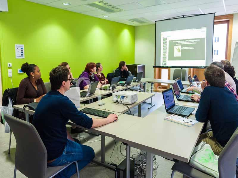 Un groupe de personnes assises autour d'une table suit une présentation projetée sur un écran dans une salle de réunion.