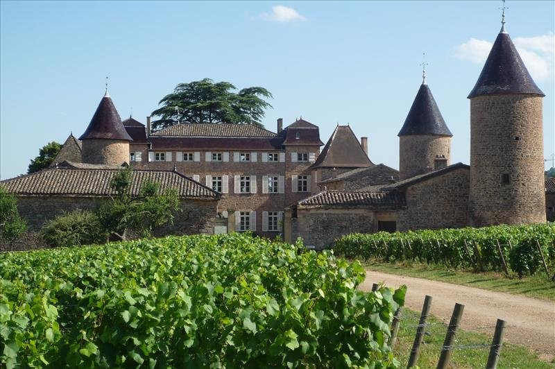 Château de Chasselas - photo 2
