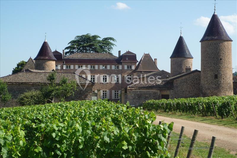 Château de Chasselas - galerie - photo 2