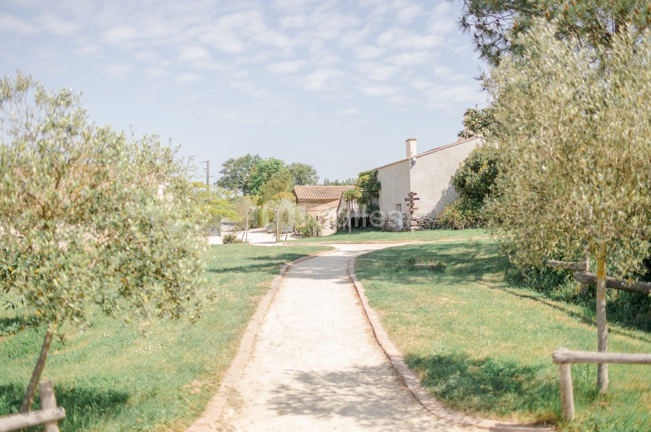 Chemin de terre bordé d'arbres et de pelouses menant à une maison en pierre sous un ciel dégagé.