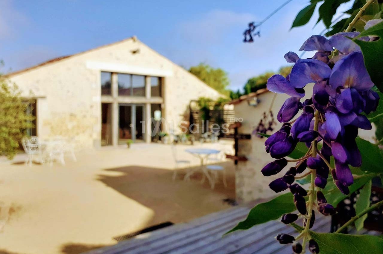 Fleurs violettes au premier plan avec une terrasse ensoleillée et une maison en pierre en arrière-plan.