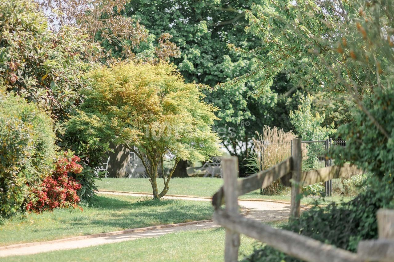 Allée bordée de verdure avec un arbre au feuillage clair, une clôture en bois et des buissons fleuris.