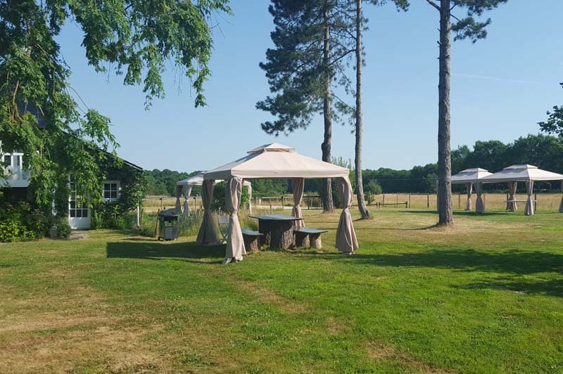 Domaine Des Basses Masures - photo 2