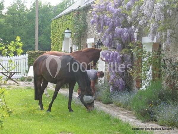 Domaine Des Basses Masures - galerie - photo 9