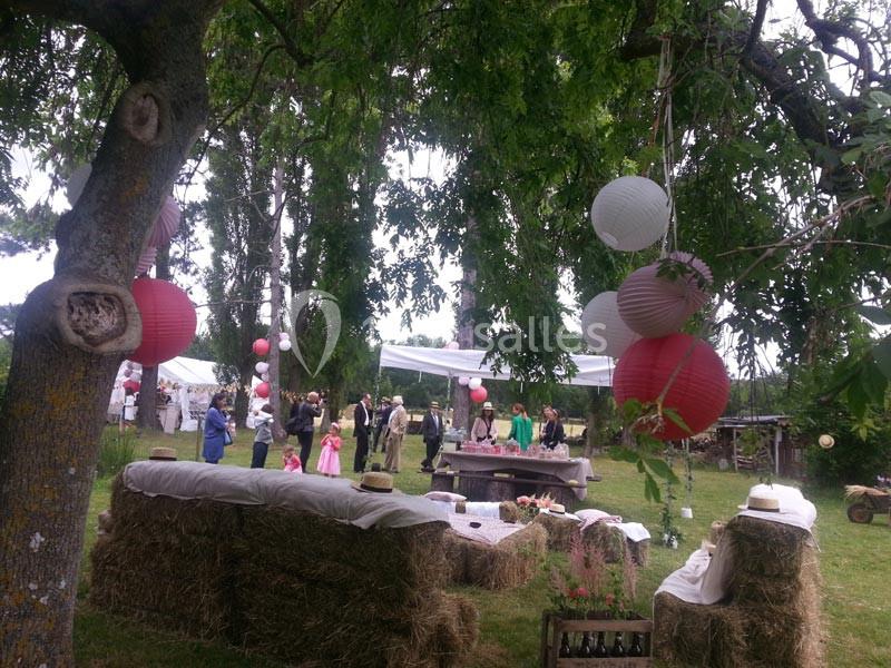 Domaine Des Basses Masures - galerie - photo 11