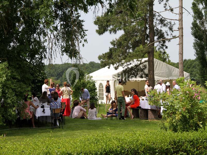 Domaine Des Basses Masures - galerie - photo 13