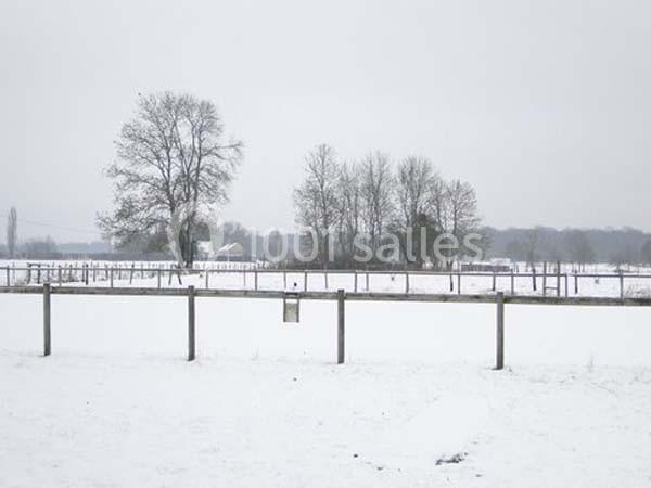 Domaine Des Basses Masures - galerie - photo 21