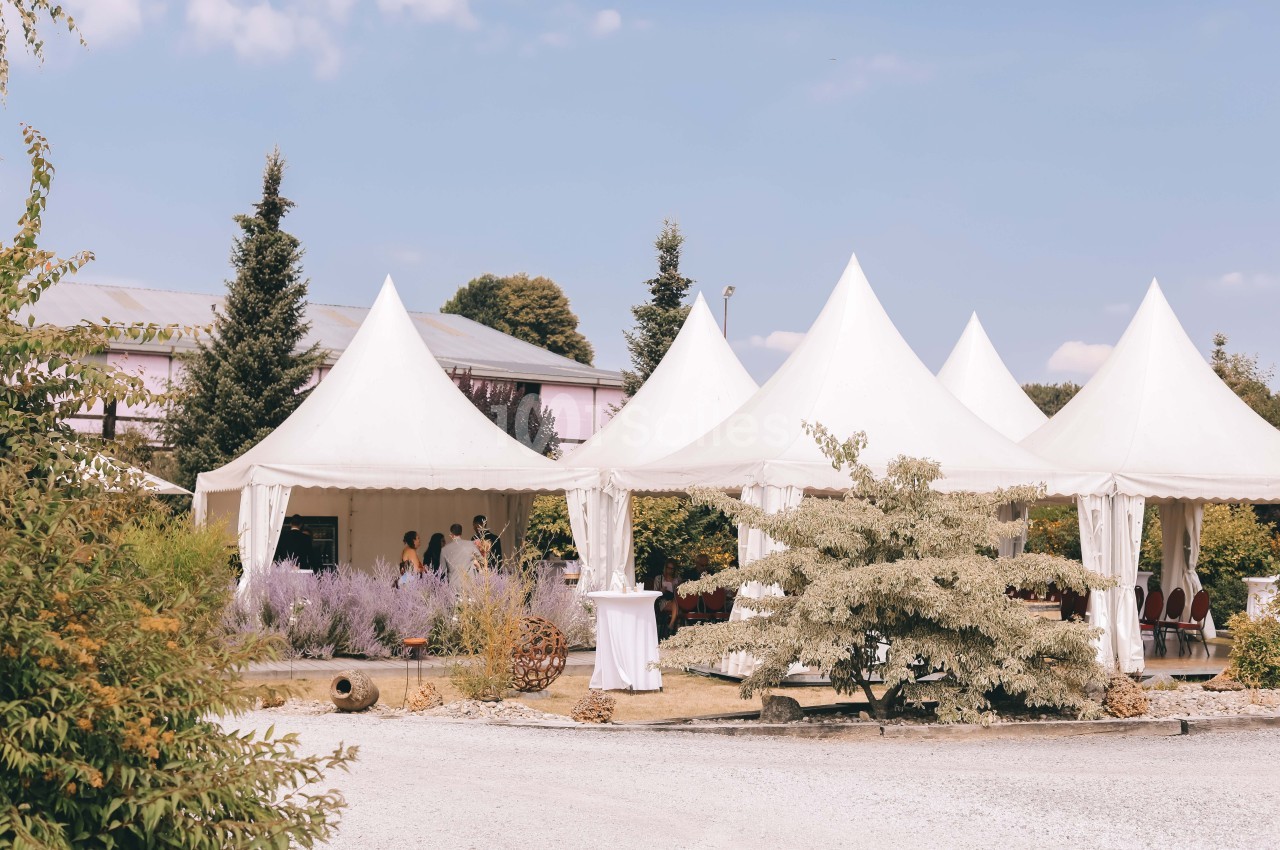 Tentes blanches installées en extérieur sur un terrain gravillonné, entourées de végétation et de lavande.