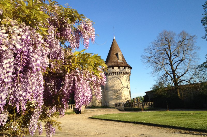 Château de Mouchac - photo 4