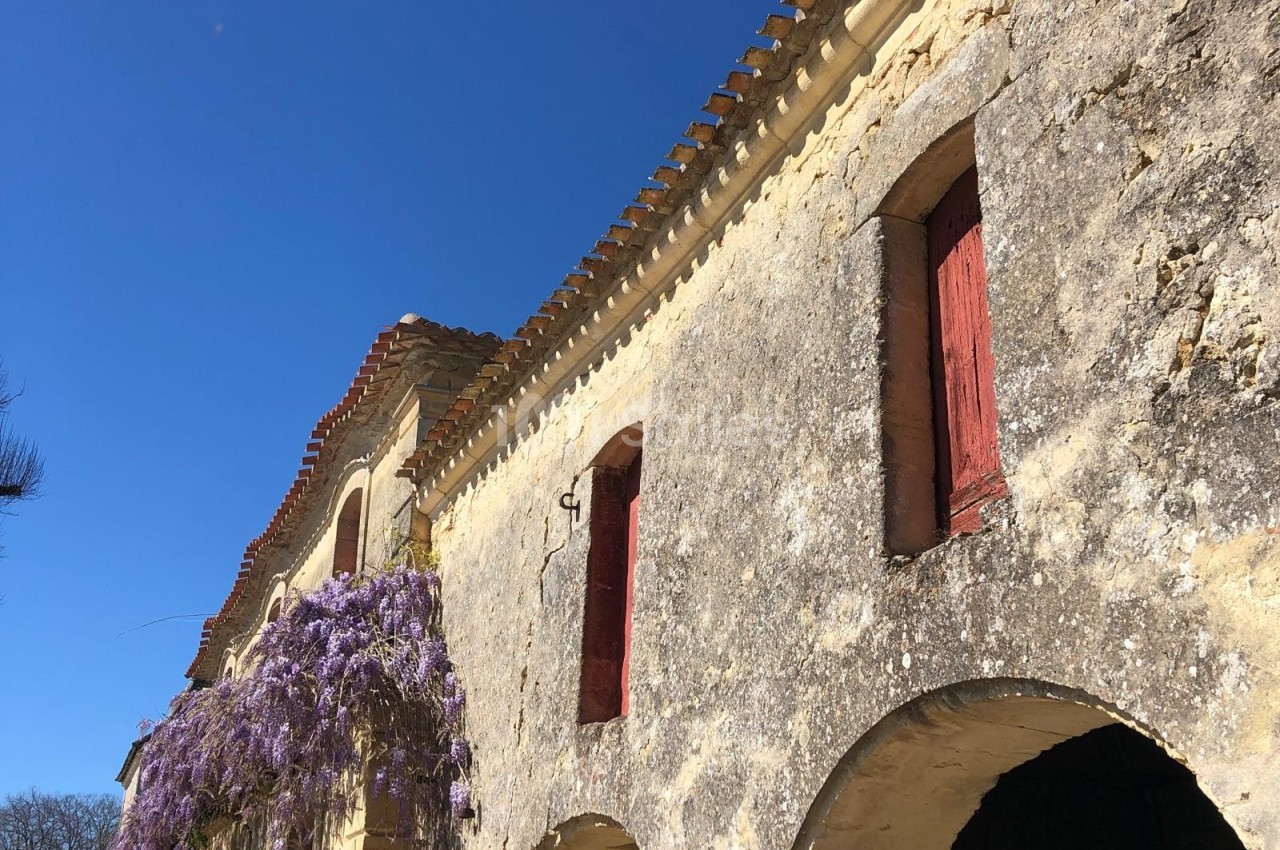 Façade en pierre d'un bâtiment ancien avec volets rouges et glycine en fleurs sous un ciel bleu.