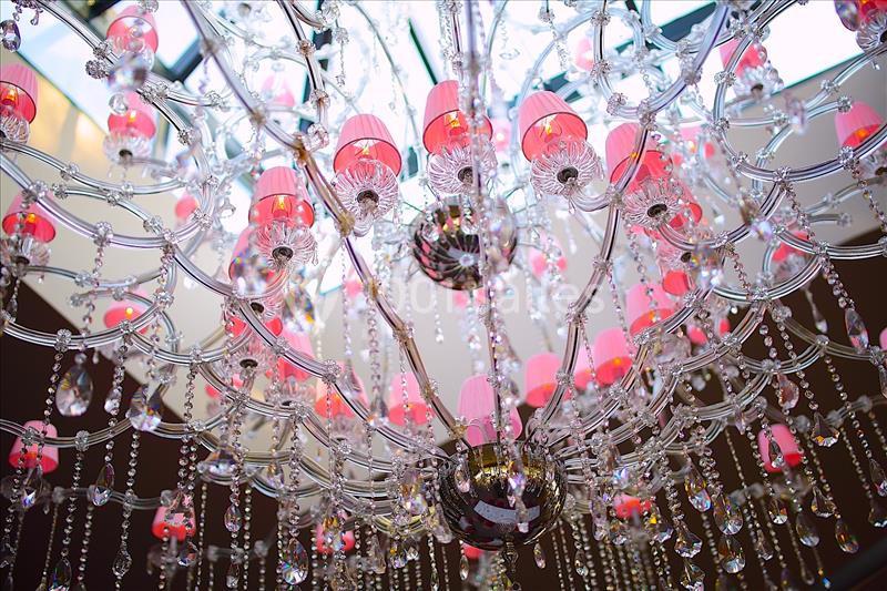 Rose Events - galerie - photo 13