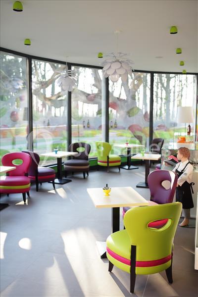 Rose Events - galerie - photo 14