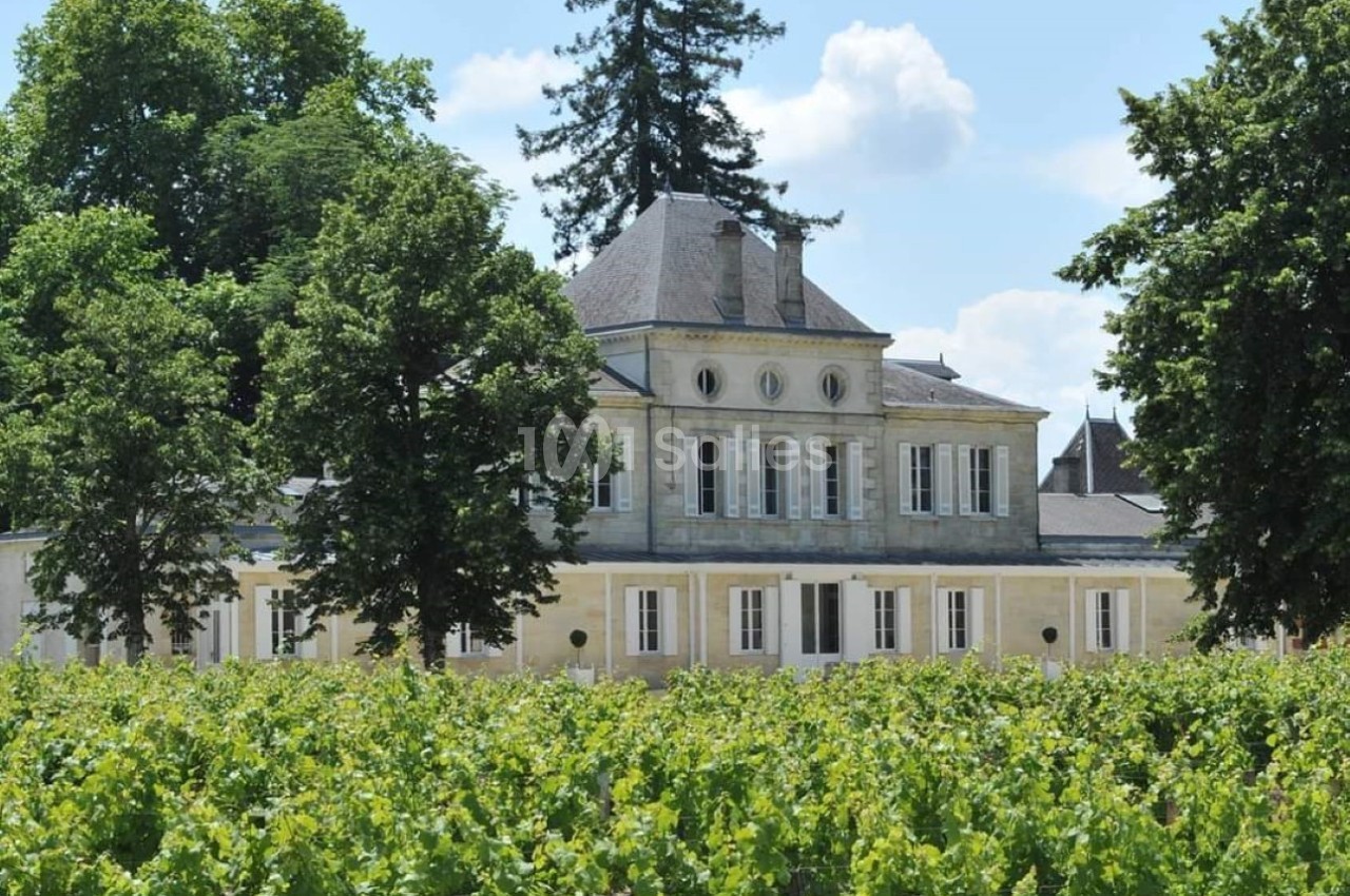 Château entouré de vignes verdoyantes sous un ciel bleu avec quelques nuages.