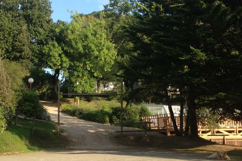 Le Jardin du Paradis - photo 4