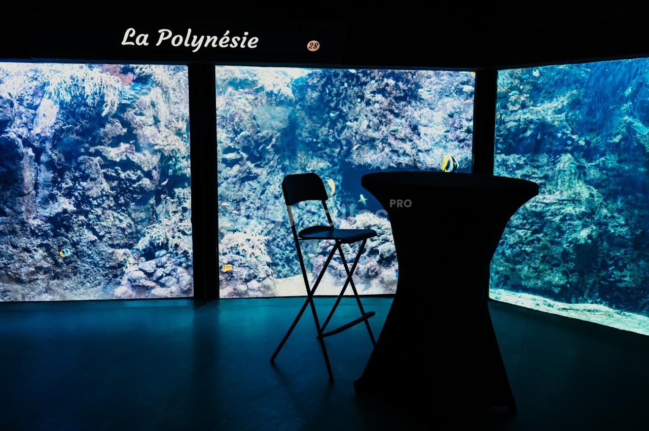 Aquarium avec coraux et poissons tropicaux en arrière-plan, chaise pliante et table haute au premier plan.