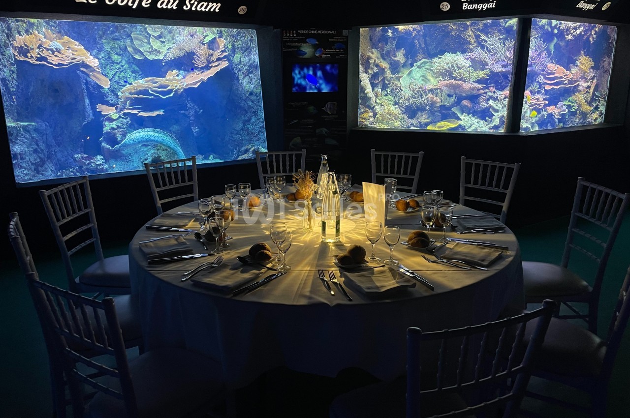 Table dressée pour un dîner, entourée d'aquariums éclairés présentant des récifs coralliens.