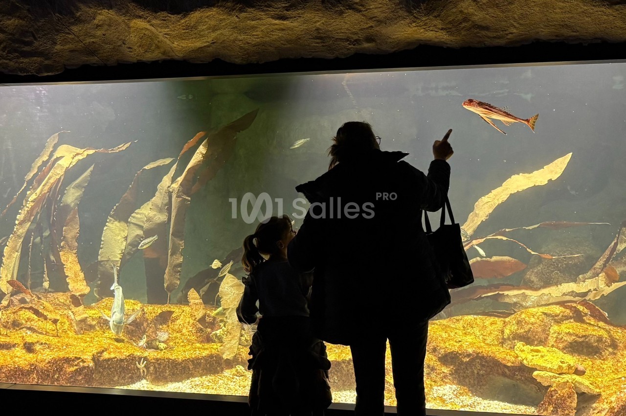 Deux personnes, une adulte et un enfant, observent un aquarium avec des poissons et des plantes aquatiques.
