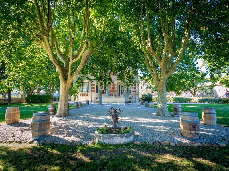 Château La Beaumetane - galerie - photo 5