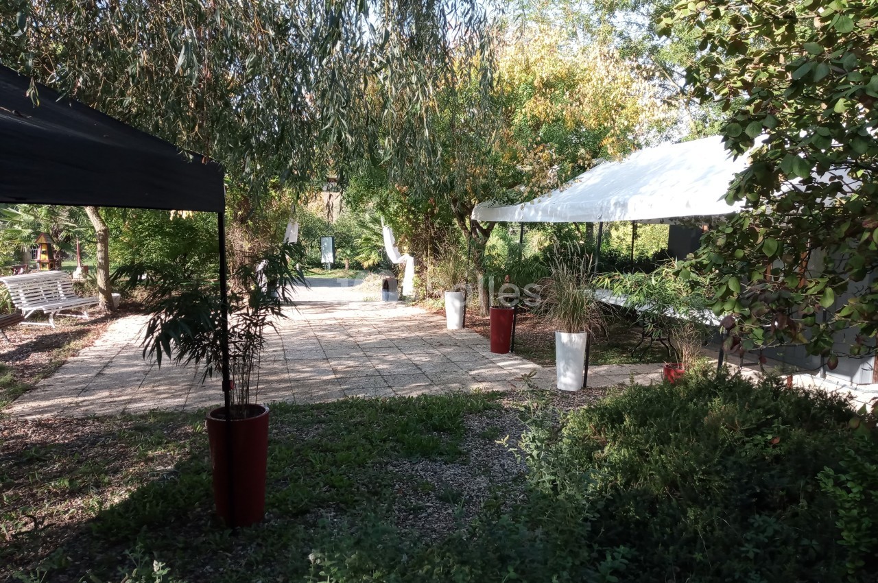 Allée pavée ombragée entourée de végétation, avec des tentes blanches et noires et des pots de plantes.