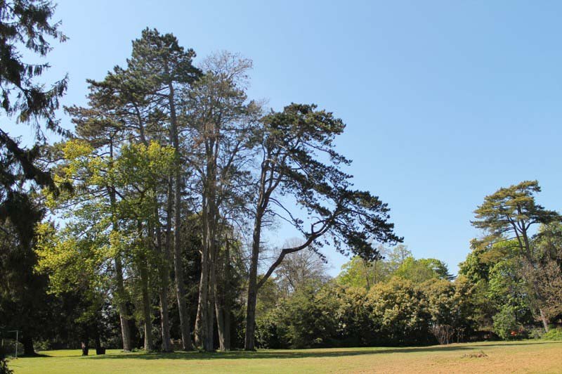Domaine de Fours - photo 3