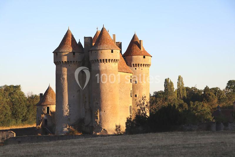 Château de Sarzay - galerie - photo 6