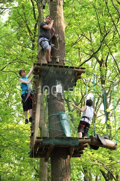 Sherwood Parc - galerie - photo 16
